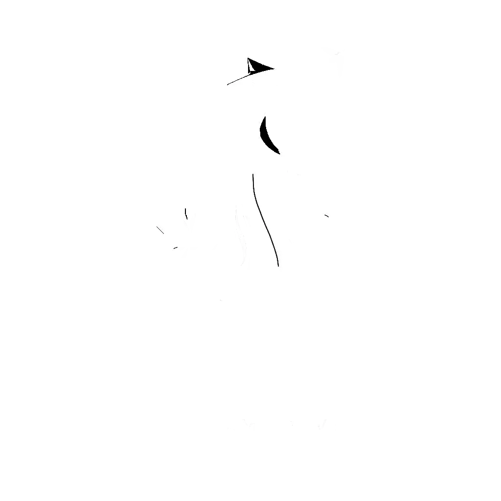 Aura Travel Vietnam